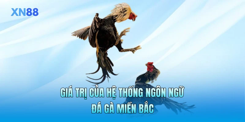 Giá trị của hệ thống ngôn ngữ đá gà miền Bắc Giá trị của hệ thống ngôn ngữ đá gà miền Bắc
