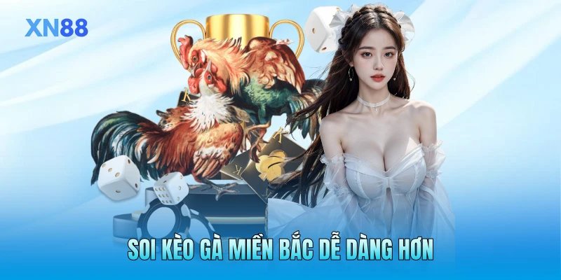 Soi kèo gà miền Bắc dễ dàng hơn Soi kèo gà miền Bắc dễ dàng hơn