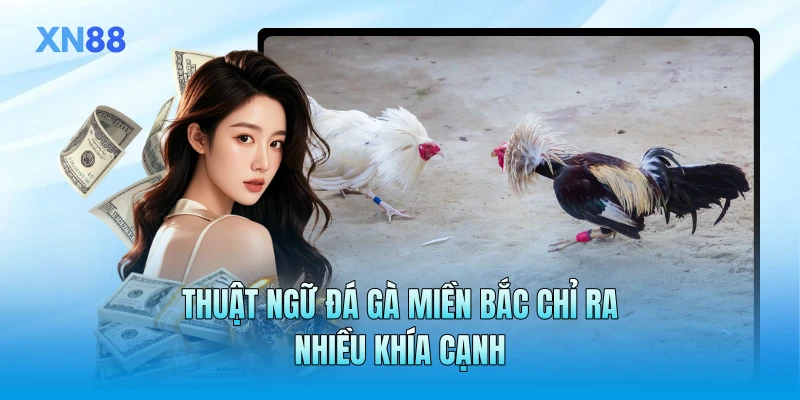 Thuật ngữ đá gà miền Bắc chỉ ra nhiều khía cạnh Thuật ngữ đá gà miền Bắc chỉ ra nhiều khía cạnh
